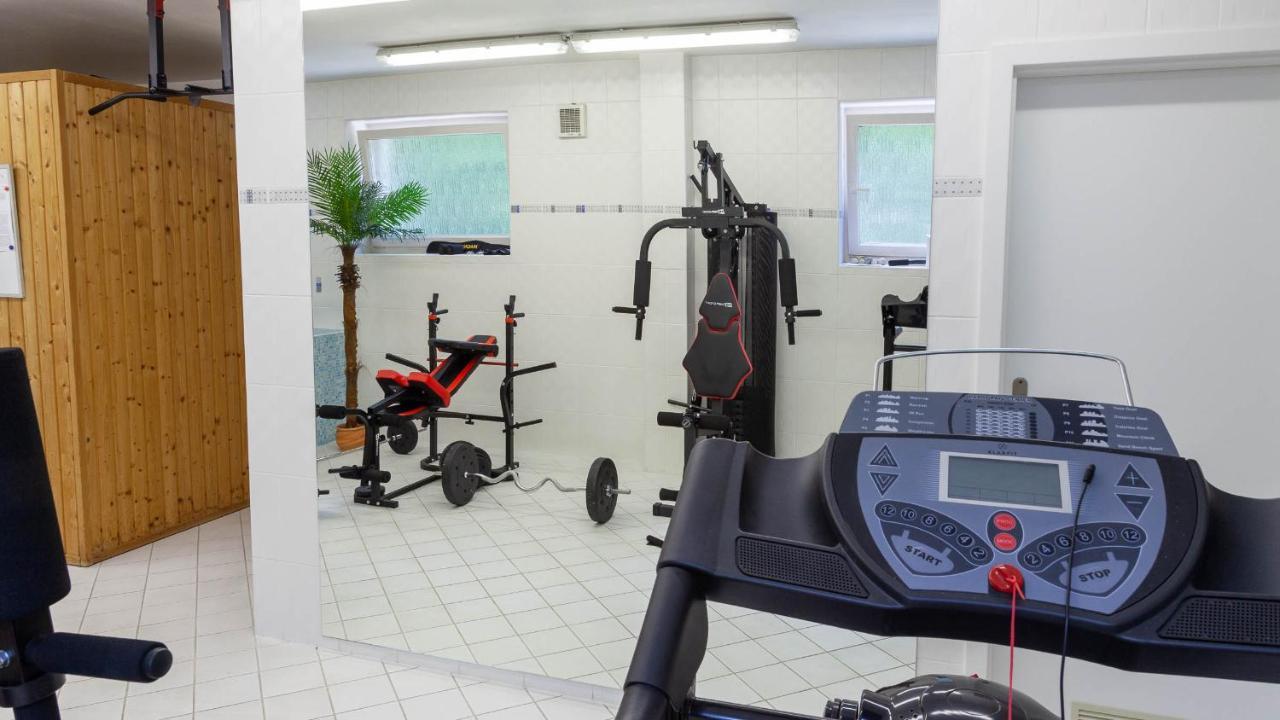 Penzion Solid Spa Mladá Boleslav Exteriér fotografie